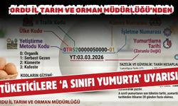 Ordu Tarım Müdürlüğü'nden Tüketicilere 'A Sınıfı Yumurta Rehberi'