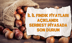 İl İl Fındık Fiyatları Açıklandı: Serbest Piyasada Son Durum