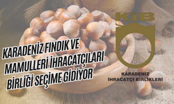 Karadeniz Fındık ve Mamulleri İhracatçıları Birliği Seçime Gidiyor