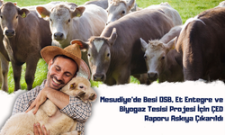 Mesudiye’de Besi OSB, Et Entegre ve Biyogaz Tesisi Projesi İçin ÇED Raporu Askıya Çıkarıldı