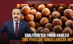 Şanlıtürk’ten Fındık Hamlesi: TMO Fiyatları Güncellenecek mi?