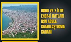 Ordu ve 7 İlde Enerji Hatları İçin Acele Kamulaştırma Kararı