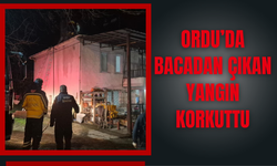 Ordu’da Bacadan Çıkan Yangın Korkuttu