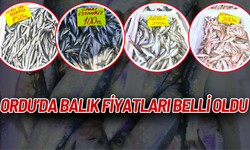 Ordu’da Balık Fiyatları Belli Oldu