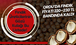 Ordu’da Fındık Fiyatı 220–230 TL Bandında Kaldı