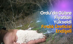 Ordu’da Gübre Fiyatları Yükseldi, Fındık Üreticisi Endişeli