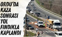 Ordu’da Kaza Sonrası Yol Fındıkla Kaplandı