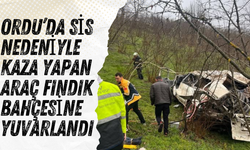 Ordu’da Sis Nedeniyle Kaza Yapan Araç Fındık Bahçesine Yuvarlandı