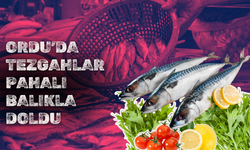 Ordu’da Tezgahlar Pahalı Balıkla Doldu