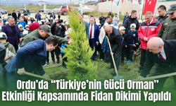 Ordu’da “Türkiye’nin Gücü Orman” Etkinliği Kapsamında Fidan Dikimi Yapıldı