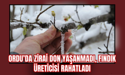 Ordu’da Zirai Don Yaşanmadı, Fındık Üreticisi Rahatladı