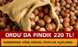 Ordu’da Fındık 220 TL! Randımana Göre Güncel Fiyatlar Açıklandı…