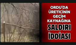 Ordu’da Üreticinin Geçim Kaynağına Saldırı İddiası