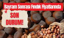 Bayram Sonrası Fındık Fiyatlarında Son Durum!