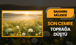 Son Cemre Toprağa Düştü