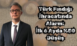 Türk Fındığı İhracatında Alarm: İlk 6 Ayda %50 Düşüş