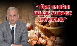 “Türk Fındığını Beleşe Yedirmek İstiyorlar”
