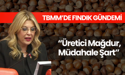 TBMM’de Fındık Gündemi: “Üretici Mağdur, Müdahale Şart”