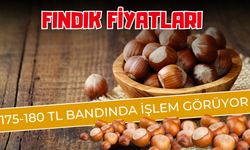 Fındık Fiyatları 175-180 TL Bandında İşlem Görüyor