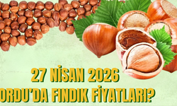 27 Nisan 2026 Ordu’da Fındık Fiyatları?