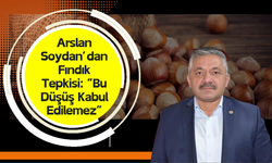 Arslan Soydan’dan Fındık Tepkisi: “Bu Düşüş Kabul Edilemez”