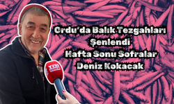 Ordu’da Balık Tezgahları Şenlendi: Hafta Sonu Sofralar Deniz Kokacak