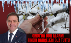 Ordu’da Don Alarmı: Fındık Bahçeleri Buz Tuttu