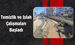 Altınordu’da Bülbül Deresi İçin Harekete Geçildi: Temizlik ve Islah Çalışmaları Başladı