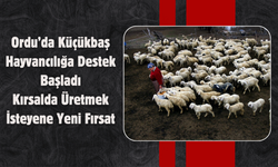 Ordu’da Küçükbaş Hayvancılığa Destek Başladı: Kırsalda Üretmek İsteyene Yeni Fırsat