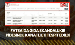 Fatsa’da Gıda Skandalı: Kır Pidesinde Kanatlı Eti Tespit Edildi