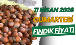 11 Nisan 2026 Cumartesi Fındık Fiyatı