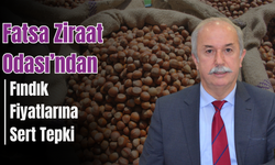 Fatsa Ziraat Odası’ndan Fındık Fiyatlarına Sert Tepki