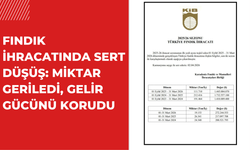 FINDIK İHRACATINDA SERT DÜŞÜŞ: MİKTAR GERİLEDİ, GELİR GÜCÜNÜ KORUDU
