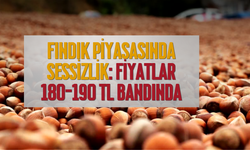 Fındık Piyasasında Sessizlik: Fiyatlar 180-190 TL Bandında