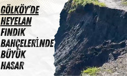 Gölköy’de Heyelan: Fındık Bahçelerinde Büyük Hasar