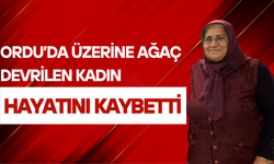 Ordu’da Üzerine Ağaç Devrilen Kadın Hayatını Kaybetti