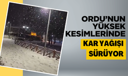 Ordu’nun Yüksek Kesimlerinde Kar Yağışı Sürüyor