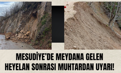 Mesudiye’de Meydana Gelen Heyelan Sonrası Muhtardan Uyarı!