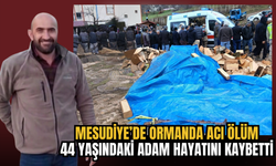 Mesudiye’de Ormanda Acı Ölüm: 44 Yaşındaki Adam Hayatını Kaybetti