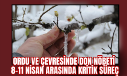 Ordu ve Çevresinde Don Nöbeti: 8–11 Nisan Arasında Kritik Süreç
