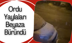 Ordu Yaylaları Beyaza Büründü