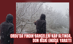 ORDU’DA FINDIK BAHÇELERİ KAR ALTINDA, DON RİSKİ ENDİŞE YARATTI