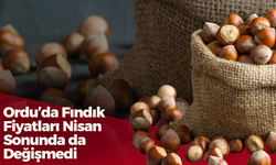Ordu’da Fındık Fiyatları Nisan Sonunda da Değişmedi