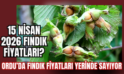 Ordu’da Fındık Fiyatları Yerinde Sayıyor