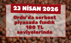Ordu’da serbest piyasada fındık 180 TL seviyelerinde