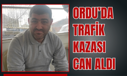 Ordu’da Trafik Kazası Can Aldı