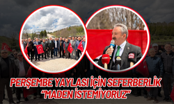 Perşembe Yaylası İçin Seferberlik: “Maden İstemiyoruz”
