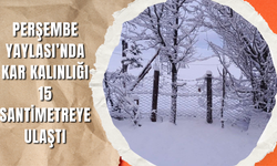 PERŞEMBE YAYLASI’NDA KAR KALINLIĞI 15 SANTİMETREYE ULAŞTI