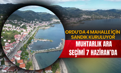 Ordu’da 4 Mahalle İçin Sandık Kuruluyor: Muhtarlık Ara Seçimi 7 Haziran’da