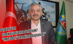 Soydan’dan Fındık Fiyatlarına Sert Tepki: “TMO 300 TL’den Alıma Başlamalı”